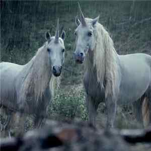 Lil Peep & Horse Head - Right Here mp3