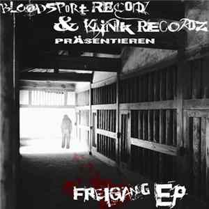 Various - Freigang EP mp3