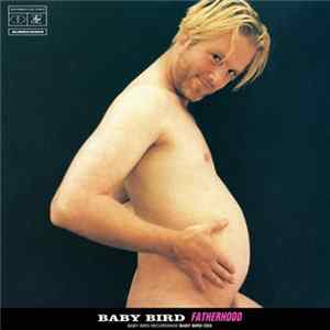 Baby Bird - Fatherhood mp3