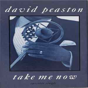David Peaston - Take Me Now mp3