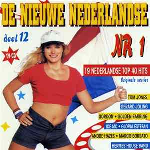 Various - De Nieuwe Nederlandse Nr 1 - Deel 12 mp3