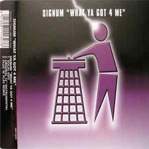 Signum - What Ya Got 4 Me mp3