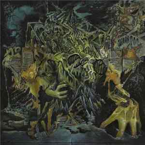 King Gizzard And The Lizard Wizard - Murder Of The Universe mp3