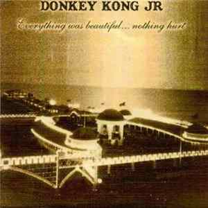 Donkey Kong Jr - Everything Was Beautiful... Nothing Hurt mp3