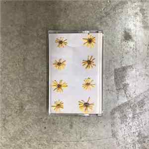 The Molochs - Flowers In The Spring mp3