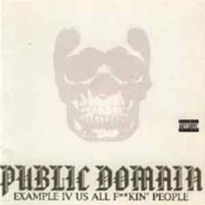 Public Domain - Example IV Us All F**Kin' People mp3