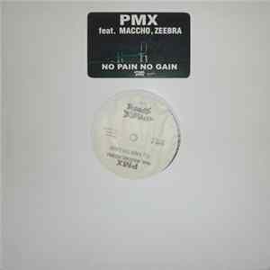 PMX - No Pain, No Gain mp3