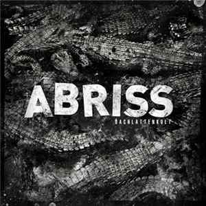Abriss - Dachlattenkult mp3
