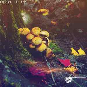 Various - Open It Up mp3