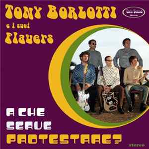 Tony Borlotti E I Suoi Flauers - A Che Serve Protestare? mp3