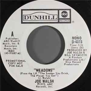 Joe Walsh - Meadows mp3