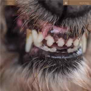 Blanck Mass - World Eater mp3