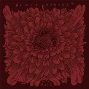 Heavy Harvest - Rats mp3