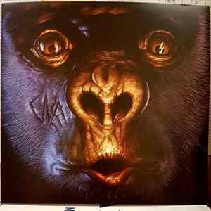 The Chuck Norris Experiment - Hotter Stuff mp3