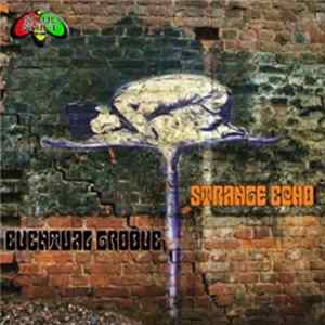 Eventual Groove - Strange Echo mp3