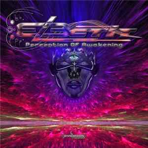 Electit - Perception Of Awakening mp3