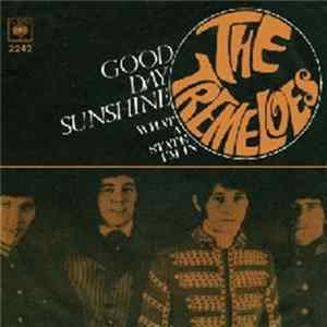 The Tremeloes - Good Day Sunshine mp3