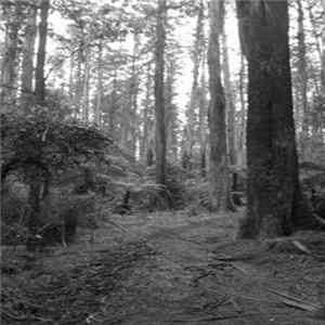 Salvation - On Untrodden Paths mp3