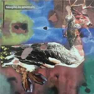 Taught By Animals - Taught By Animals 2 mp3