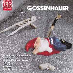 Various - Musik Express Sounds - Gossenhauer mp3