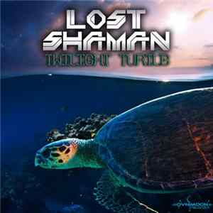 Lost Shaman - Twilight Turtle mp3