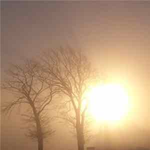 Purl - Waking Music mp3