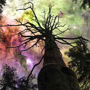 2nnt - Portal of Psyclopsidae mp3