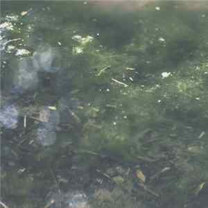 Andrew Tasselmyer - Places Real And Imagined mp3