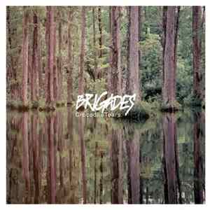 Brigades - Crocodile Tears mp3