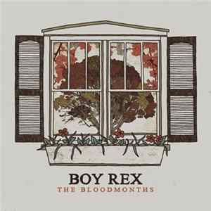 Boy Rex - The Bloodmonths mp3