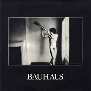 Bauhaus - In The Flat Field mp3