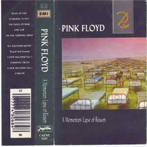 Pink Floyd - A Momentary Lapse Of Reason mp3