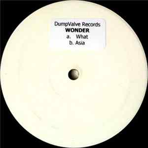 Wonder - What / Asia mp3