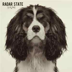 Radar State - Strays mp3