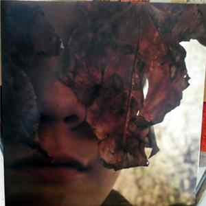 Homelife - Translation mp3