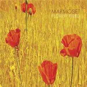 Marmoset - Florist Fired mp3