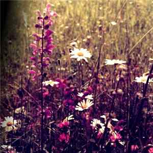 Various - In The Rhetoric Of Rupture And Re-appropriation mp3