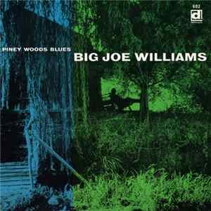 Big Joe Williams - Piney Woods Blues mp3