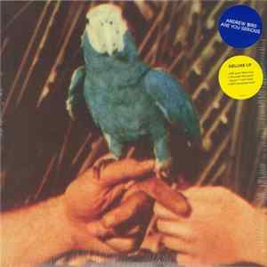 Andrew Bird - Are You Serious mp3