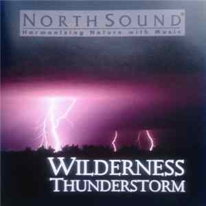 No Artist - Wilderness Thunderstorm mp3