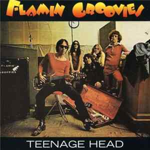 Flamin Groovies - Teenage Head mp3