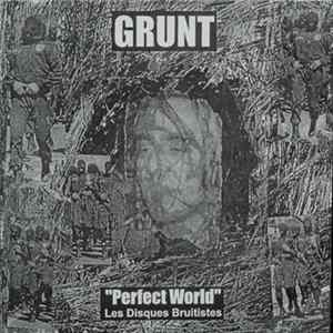 Grunt - Perfect World mp3