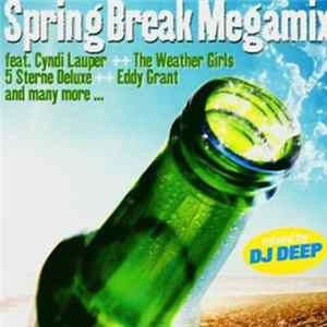 DJ Deep - Spring Break Megamix mp3