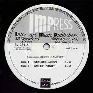 Unknown Artist - Summer Moon - Sweet Night / Prelude To Romance - Now And Forever mp3