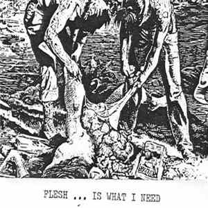 Disastrous Murmur - Flesh... Is What I Need mp3