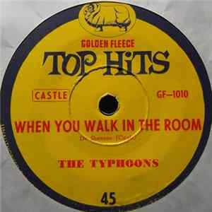 The Typhoons, Joan Baxter - When You Walk In The Room mp3