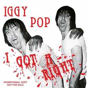 Iggy Pop & The Stööges - I Got A Right mp3