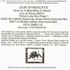 Dub Syndicate - God Is A Man mp3