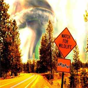 Amiranu - Watch For Wildlife mp3