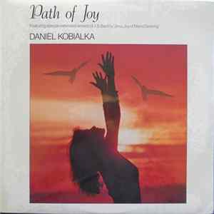 Daniel Kobialka - Path Of Joy mp3